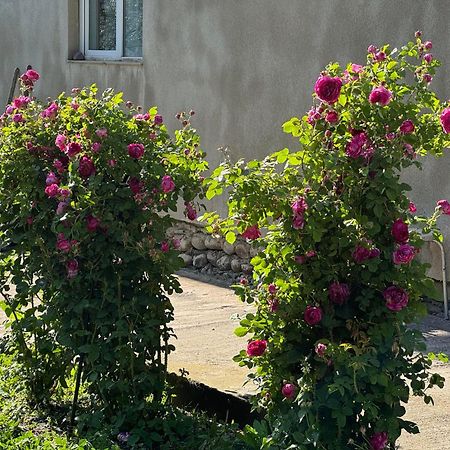 Baqari Inn Kazbegi Ngoại thất bức ảnh